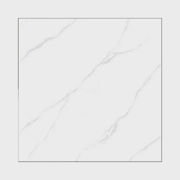 600X600 Standard Porcelain Floor Tile