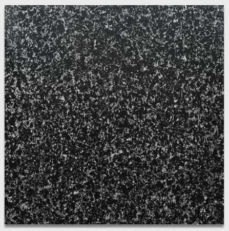 FULL BODY GLAZED POLISHED PORCELAIN TILE New Version of Black Granite